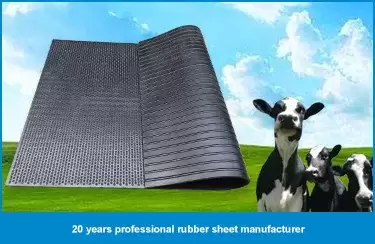 Comfort, Safety, and Hygiene in Livestock Environments